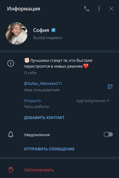 Телеграмм-профиль мошенника